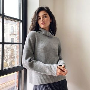 Aritzia Cashmere turtle neck sweater